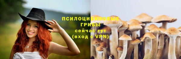 твердый Алексин