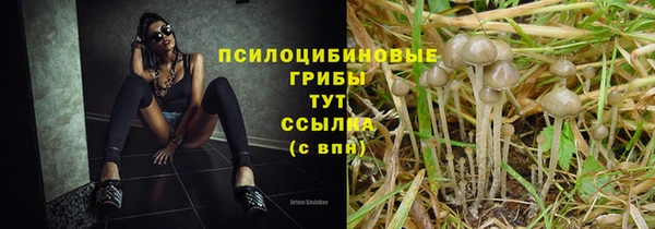 твердый Алексин
